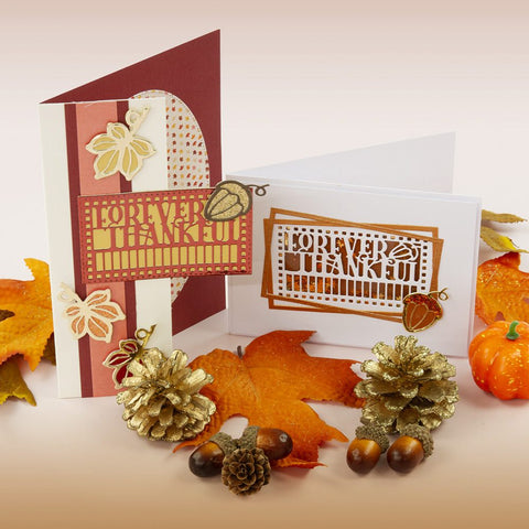 Thankful Harvest Gift Box - Showcase Die Set - 5344e