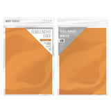 Load image into Gallery viewer, Craft Perfect bundle Craft Perfect - Peach Fuzz Papers - PFP01
