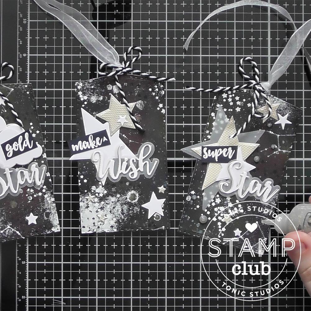 Stamp Club 9 - Shoot for the Stars With Christine Smith