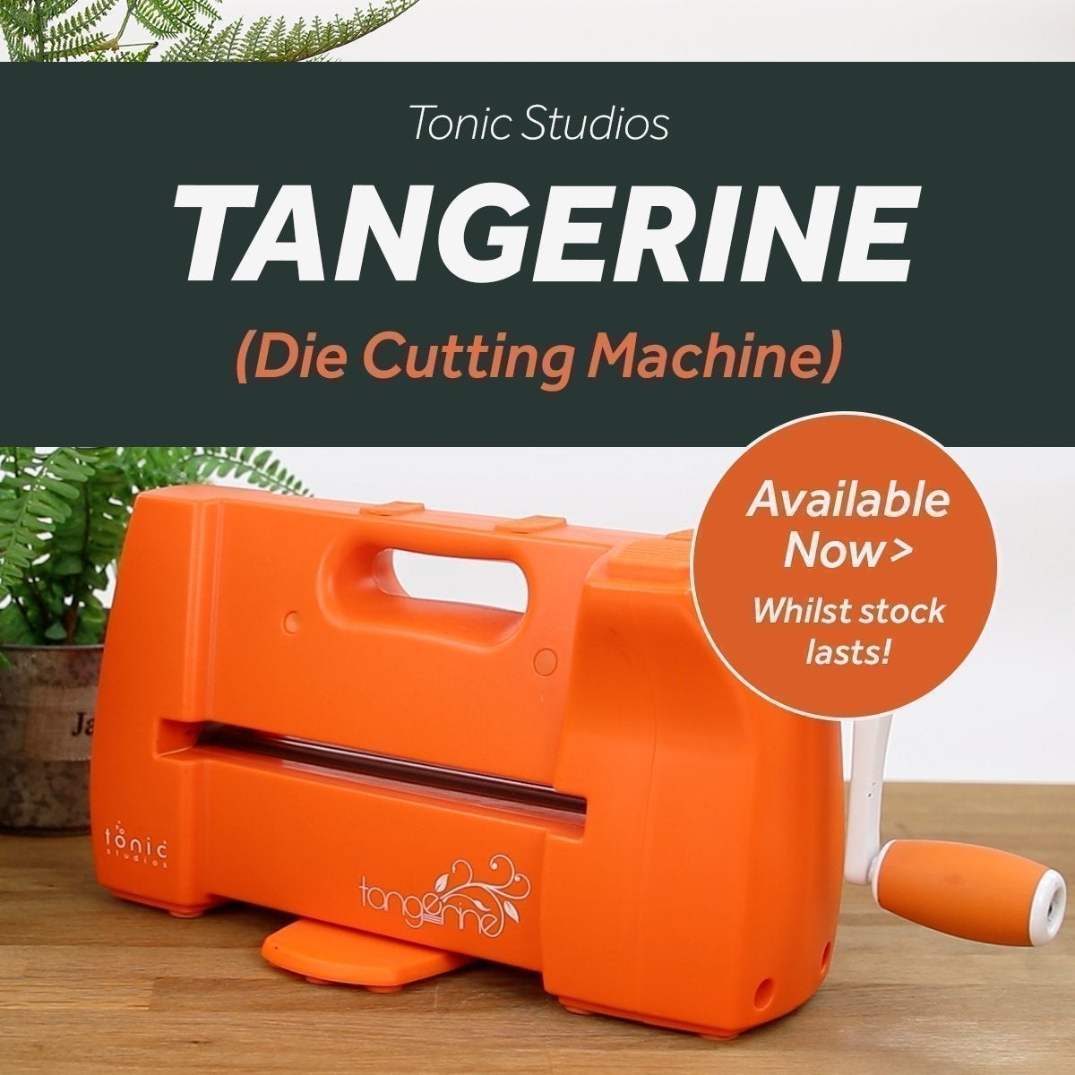 Beginner's Guide to the Tangerine Die Cutting Machine