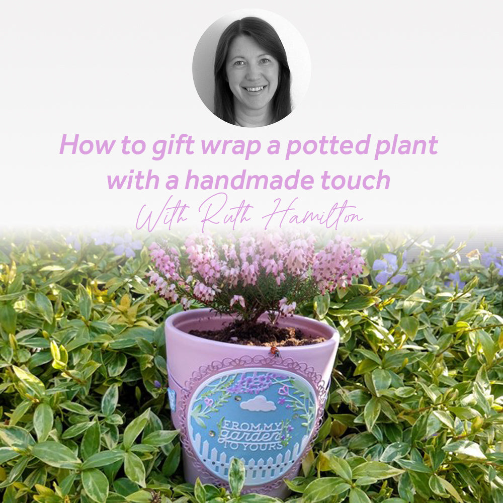 How to gift wrap a potted plant with a handmade touch Tonic Studios USA