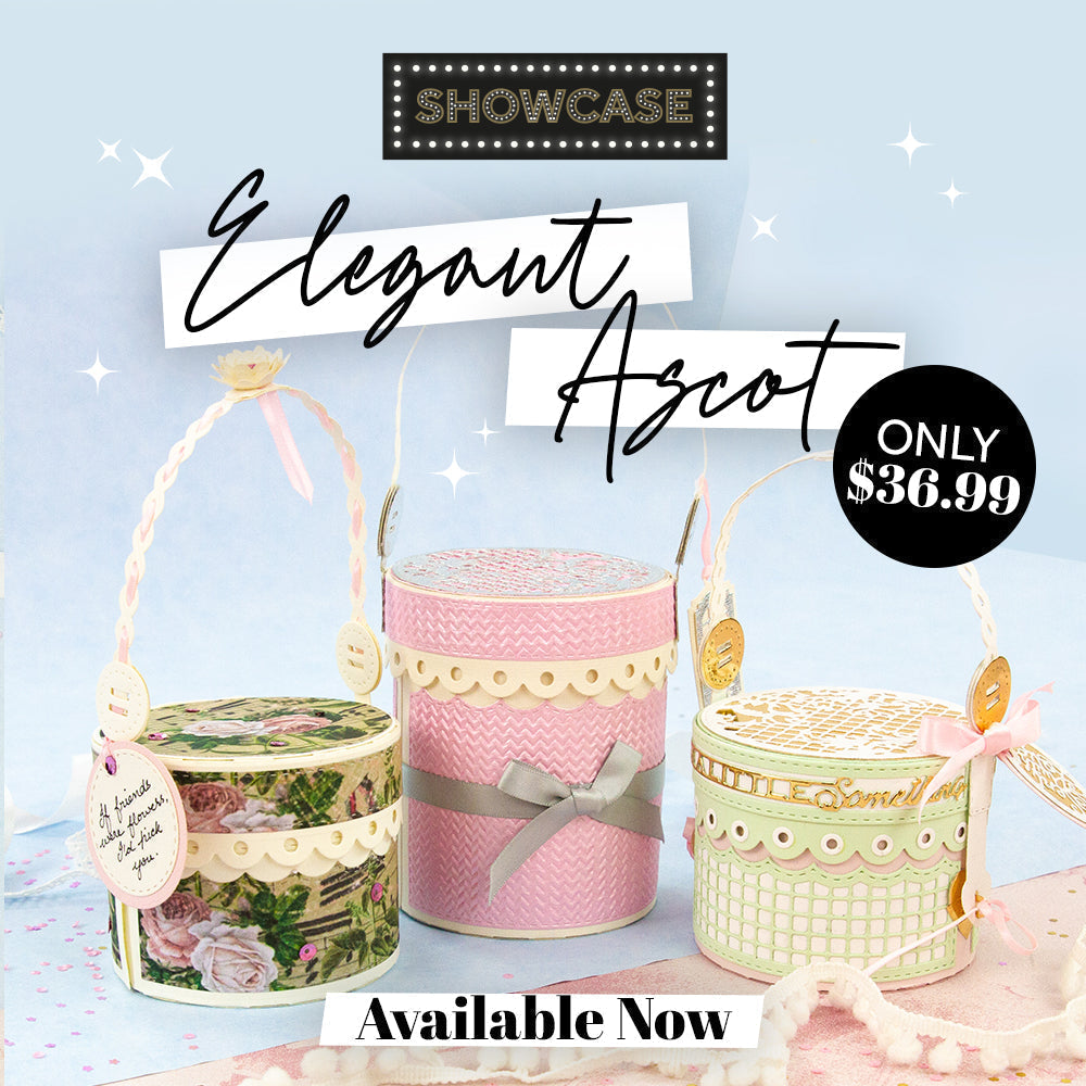 Elegant Ascot Gift Box Showcase Set