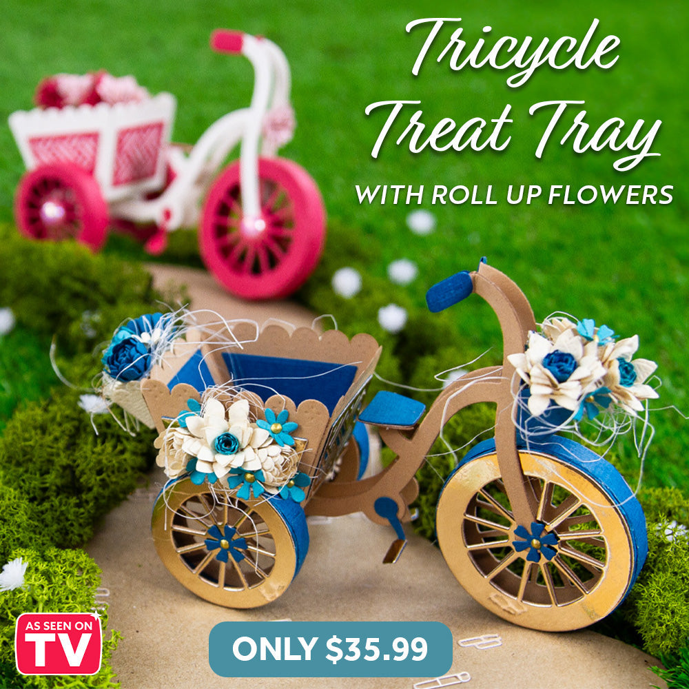 Tricycle Treat Tray & Roll up Flowers Collection