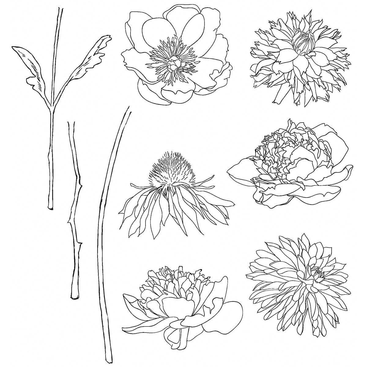 Tim Holtz Cling Stamps - Flowers, Leaves & Botanicals