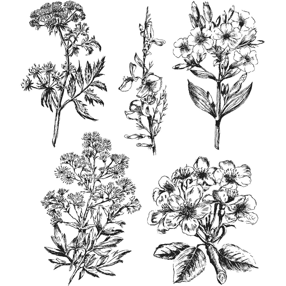 Tim Holtz Cling Stamps - Flowers, Leaves & Botanicals