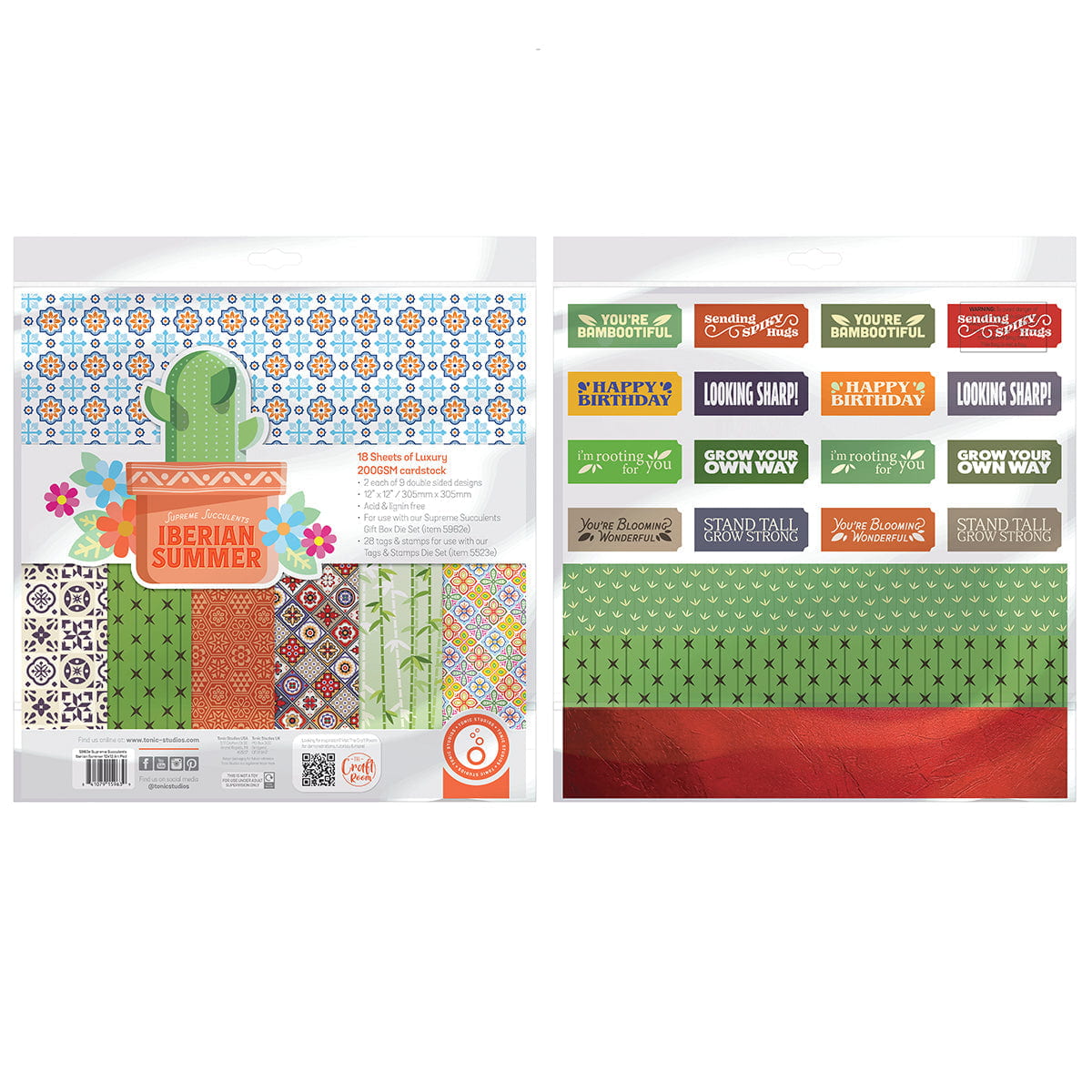 Supreme Succulents Iberian Summer 12" x 12" Patterned Paper Pad