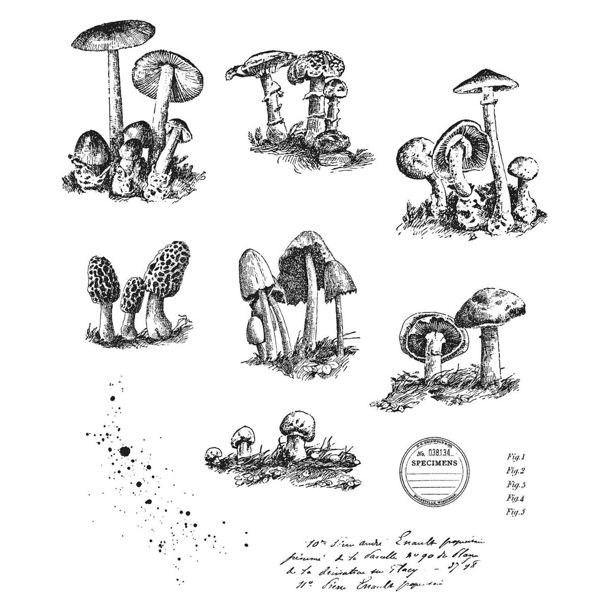 Tim Holtz Cling Stamps - Flowers, Leaves & Botanicals