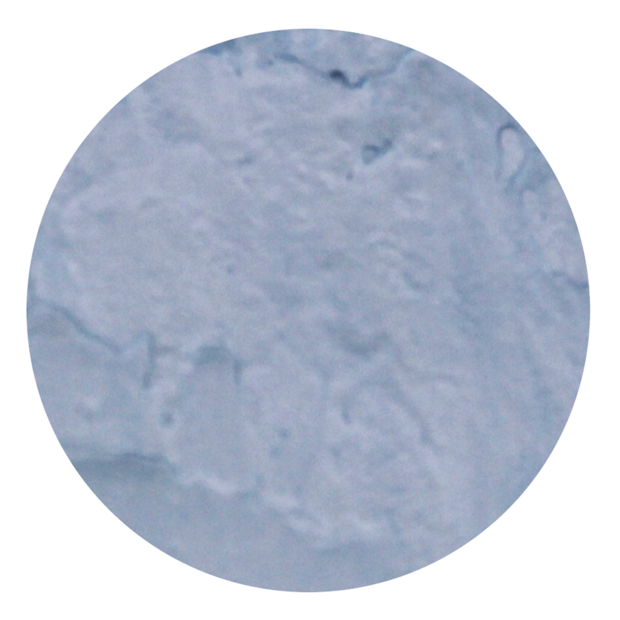 Nuvo Embellishment Mousse