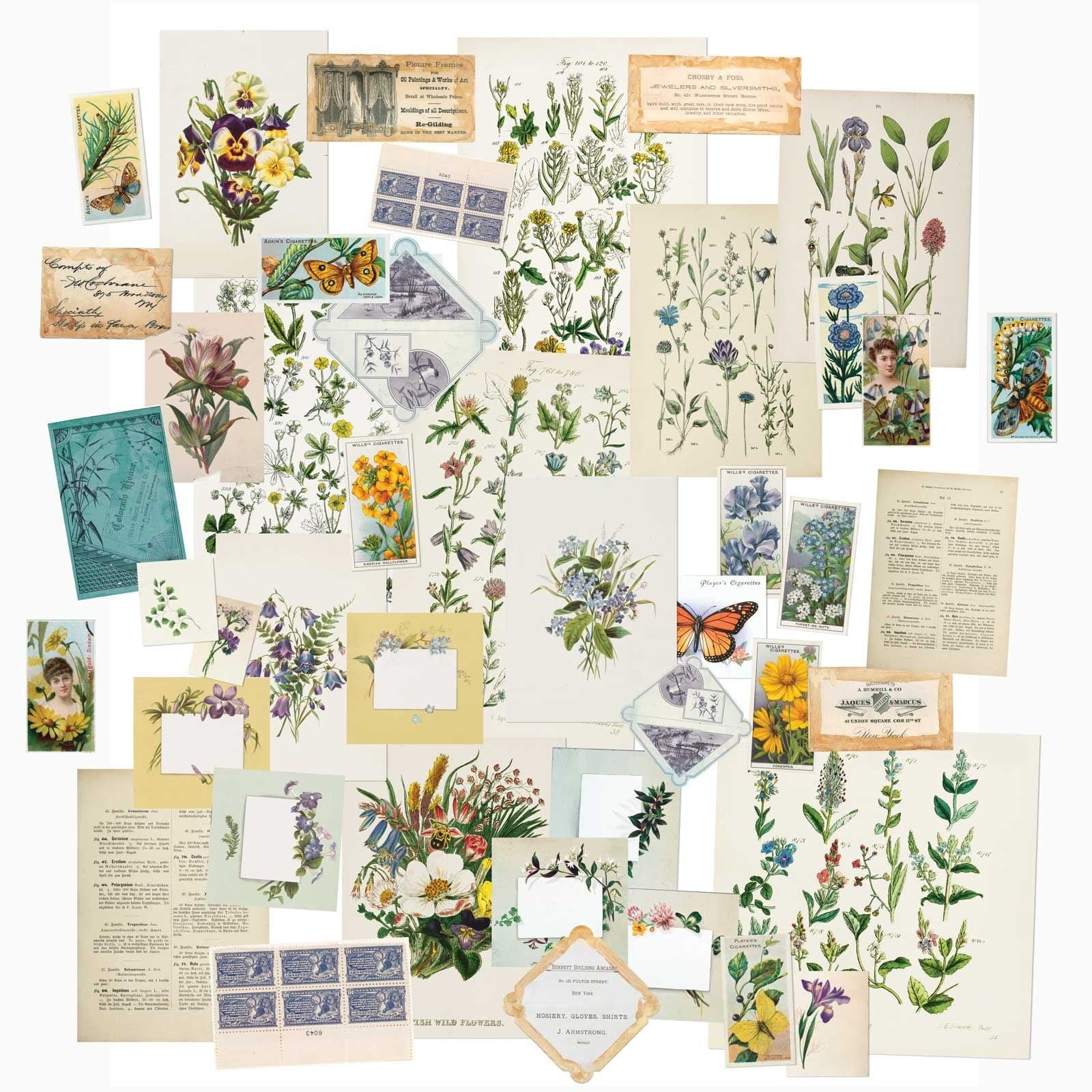 Ephemera Collection Packs from 49 and Market