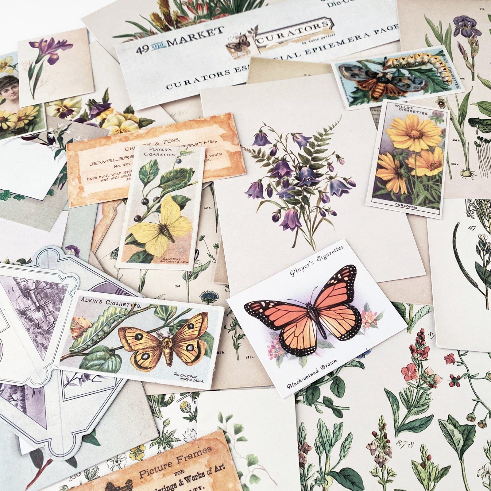 Ephemera Collection Packs from 49 and Market