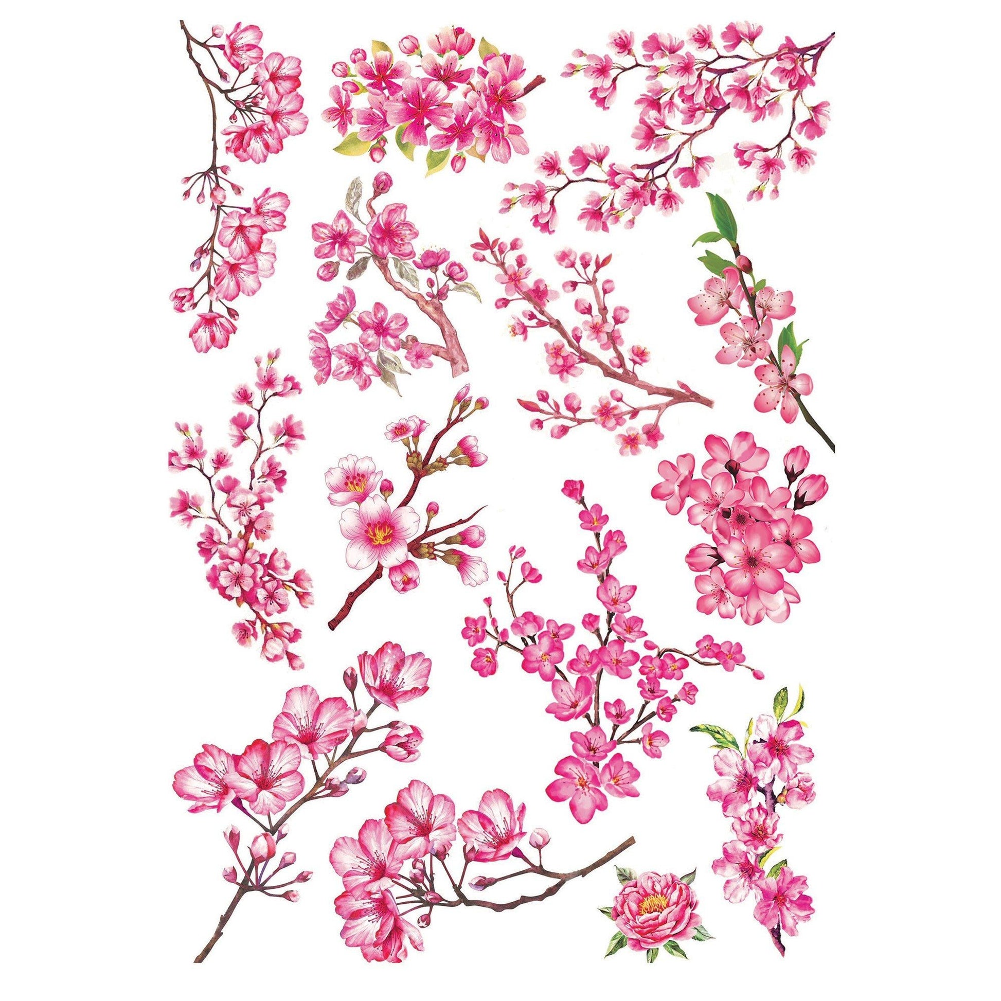 Decorative Transfer Sheet from Little Birdie