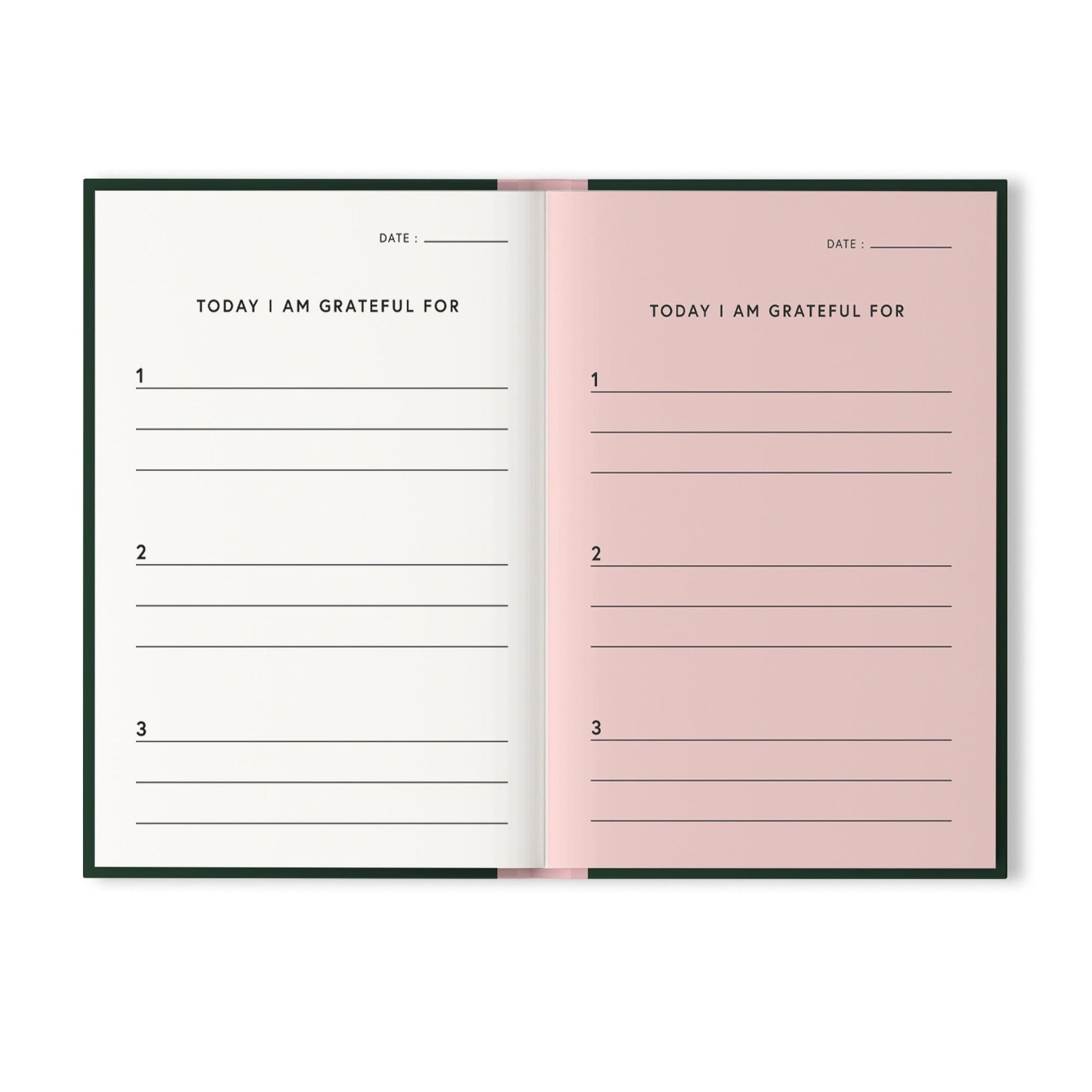 Little Birdie Gratitude Journal