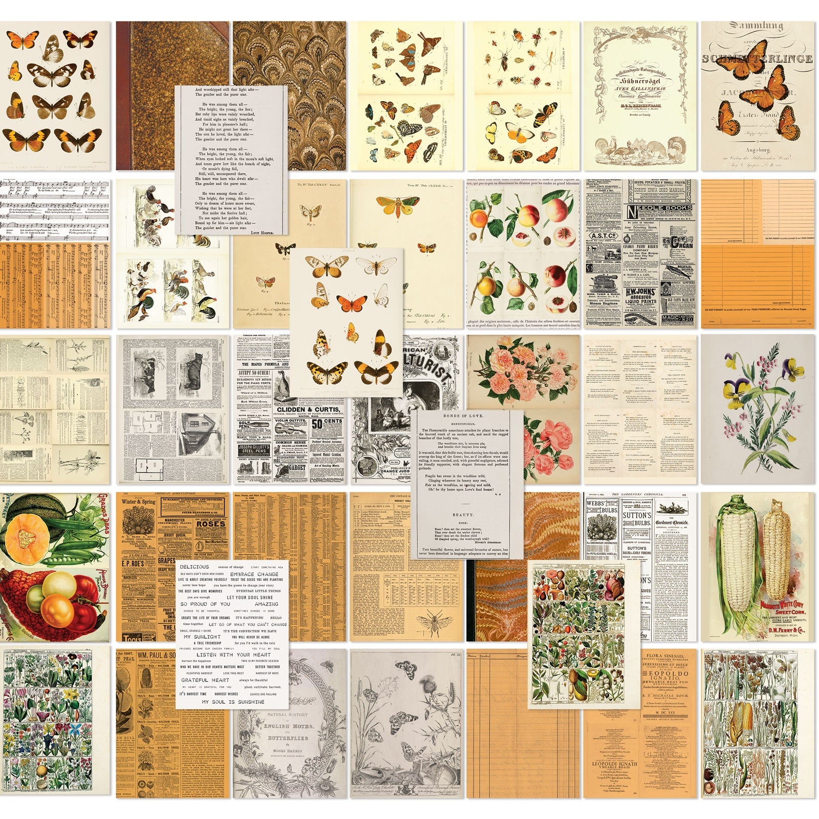 49 And Market 6x8" Collage Sheets, 40 pack - Available in Multiple Styles