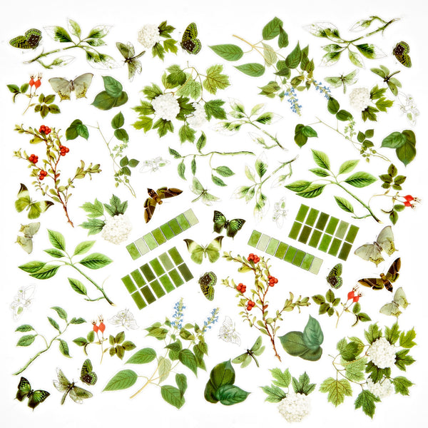 49 & Market Color Swatch Acetate Sets