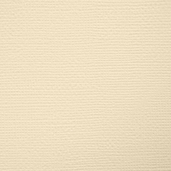 Mixed Cardstock - Day 2 Launch Collection