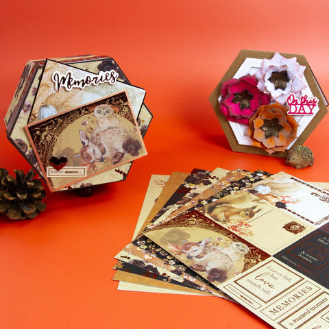 Memory Collection Boxes Box of Memories Collection – Tonic Studios USA