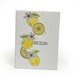 Load image into Gallery viewer, Tonic Craft Kit 80 - One Off Purchase - Just The Weigh You Are