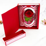 Load image into Gallery viewer, Celebrate with Style Presentation Box - Showcase Die Set