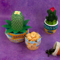 Supreme Succulents Die and Patterned Pad Collection