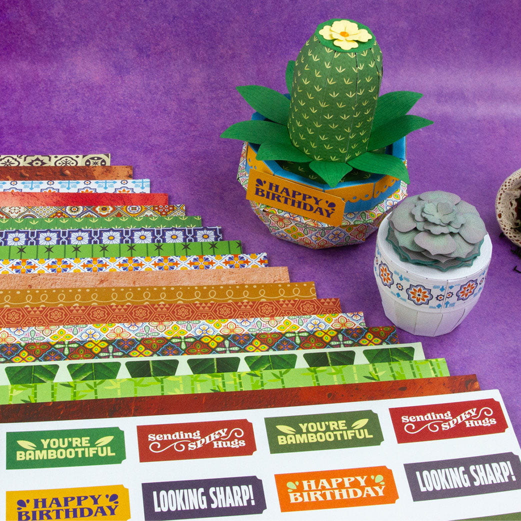 Supreme Succulents Iberian Summer 12" x 12" Patterned Paper Pad