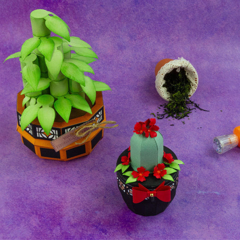 Supreme Succulents Die and Patterned Pad Collection