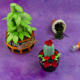 Load image into Gallery viewer, Supreme Succulents Die and Patterned Pad Collection