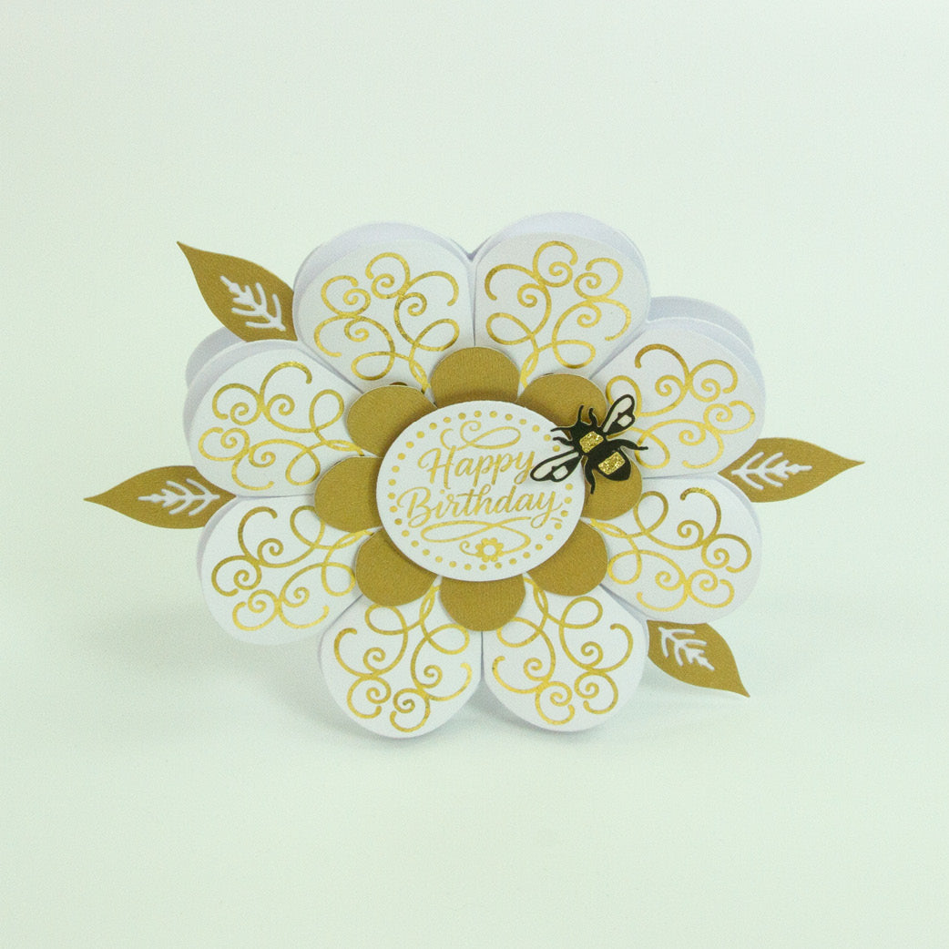 Petal Perfection Die Set & Adhesive Sheets Bundle