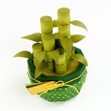 Load image into Gallery viewer, Supreme Succulents Die and Patterned Pad Collection