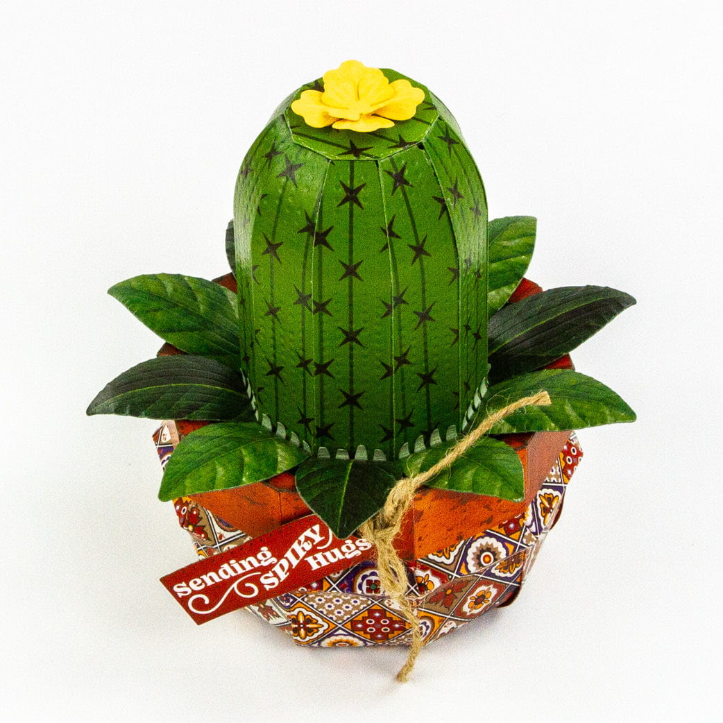 Supreme Succulents Iberian Summer 12" x 12" Patterned Paper Pad