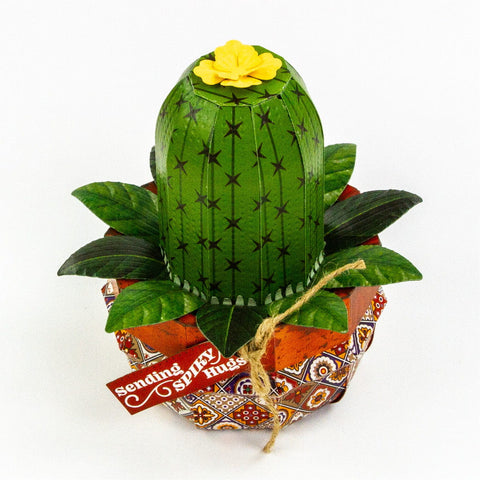 Supreme Succulents Die and Patterned Pad Collection