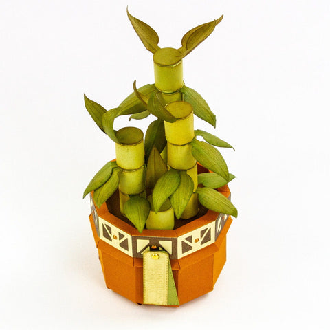 Supreme Succulents Die and Patterned Pad Collection