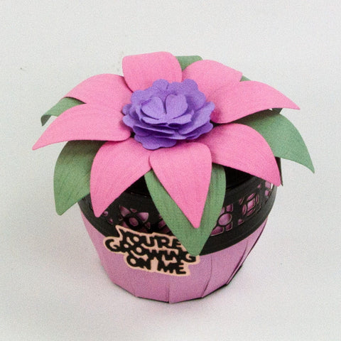 Supreme Succulents Die and Patterned Pad Collection