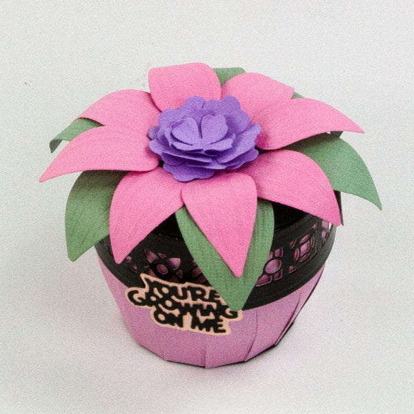 Supreme Succulents Die and Patterned Pad Collection