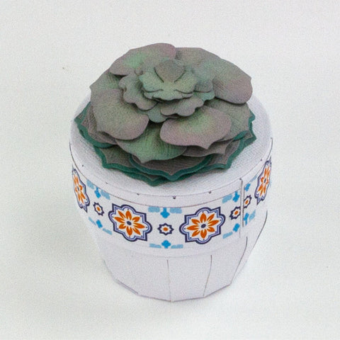 Supreme Succulents Die and Patterned Pad Collection