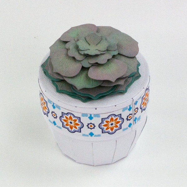 Supreme Succulents Die and Patterned Pad Collection