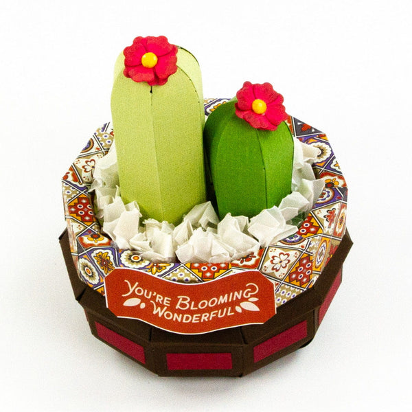 Supreme Succulents Die and Patterned Pad Collection