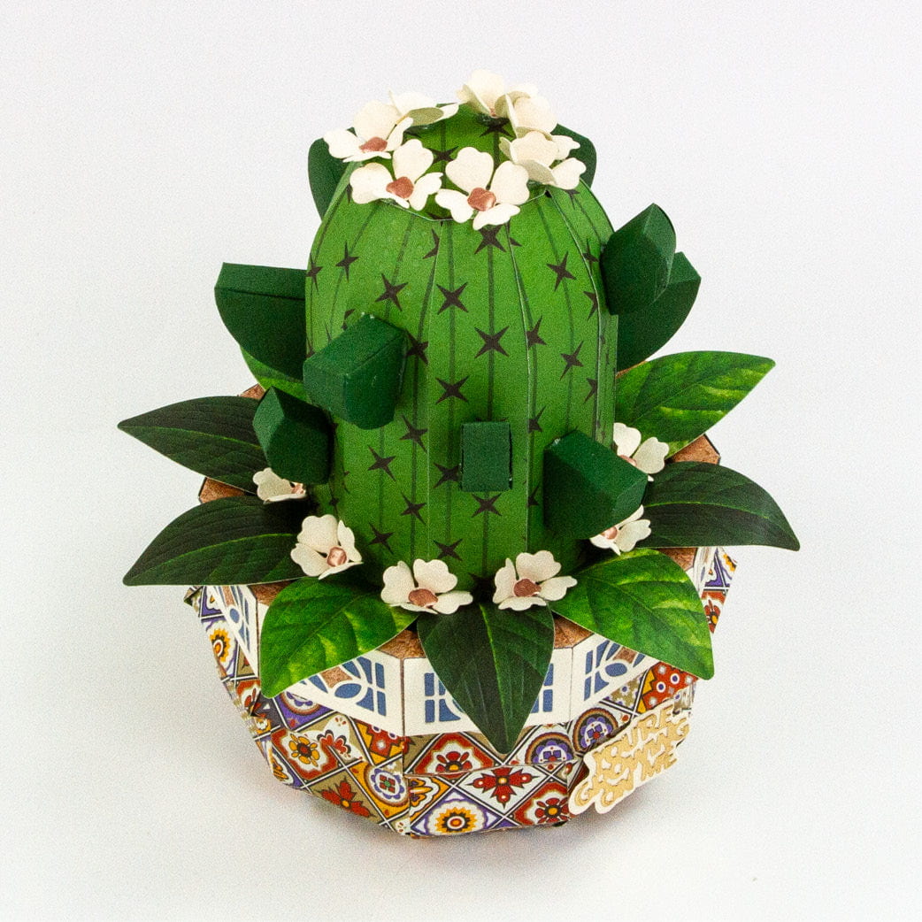 Supreme Succulents Iberian Summer 12" x 12" Patterned Paper Pad