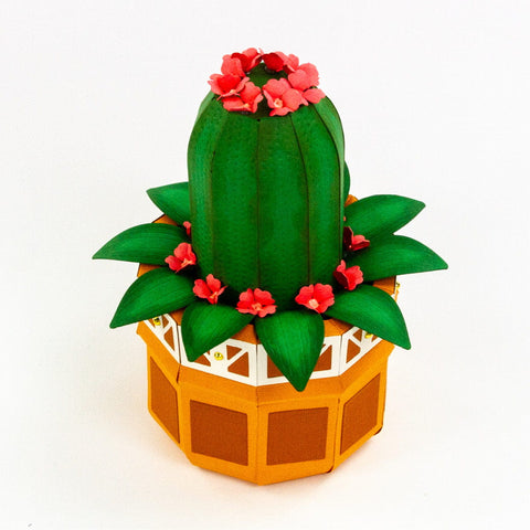 Supreme Succulents Die and Patterned Pad Collection