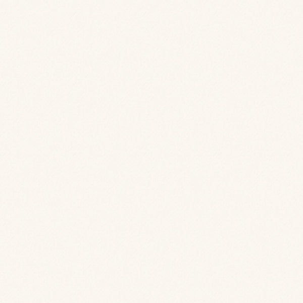 Craft Perfect Smooth Card 9568E DISCO