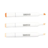 Load image into Gallery viewer, Nuvo - Alcohol Marker Pen Collection - Apricot Ombre - 323n