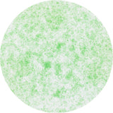 Load image into Gallery viewer, Nuvo - Mica Mist - Fresh Pear - 574n