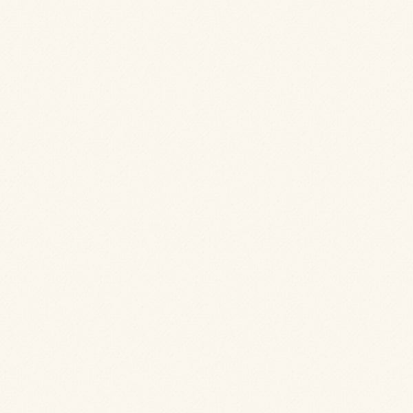 A4 Ivory Smooth Cardstock (5 pack) - 9568e