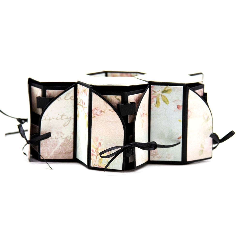 Tonic Studios bundle Hidden Affections Hexagon Collection - DB050